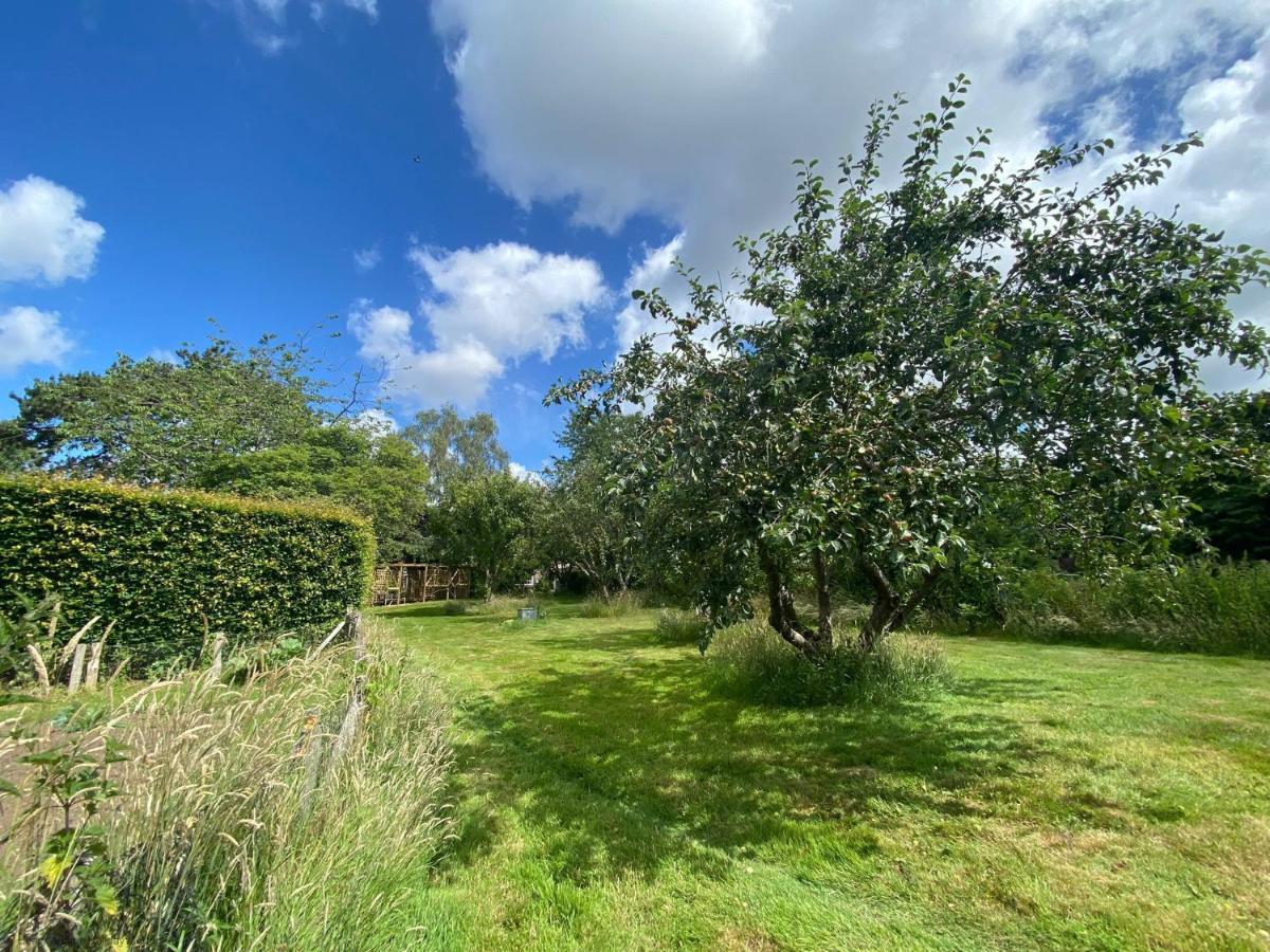 Vane Cottage - Lewes Buitenkant foto